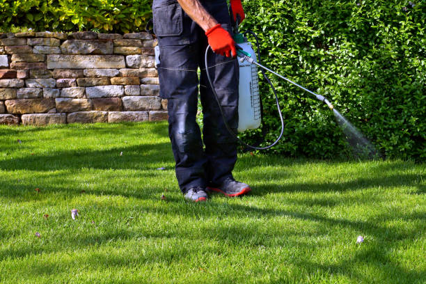 Emergency Pest Control in Bath, MI